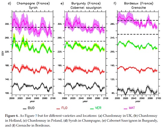 Research - Fig 6